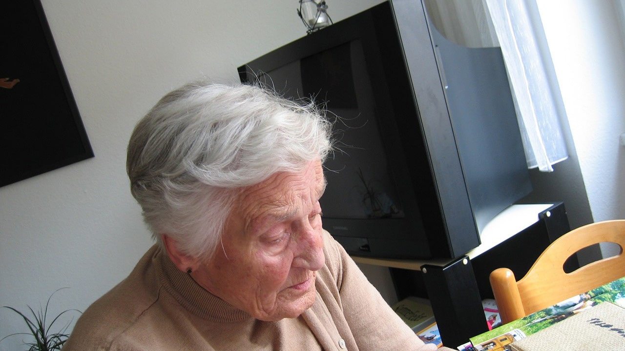 alzheimer's disease wiki