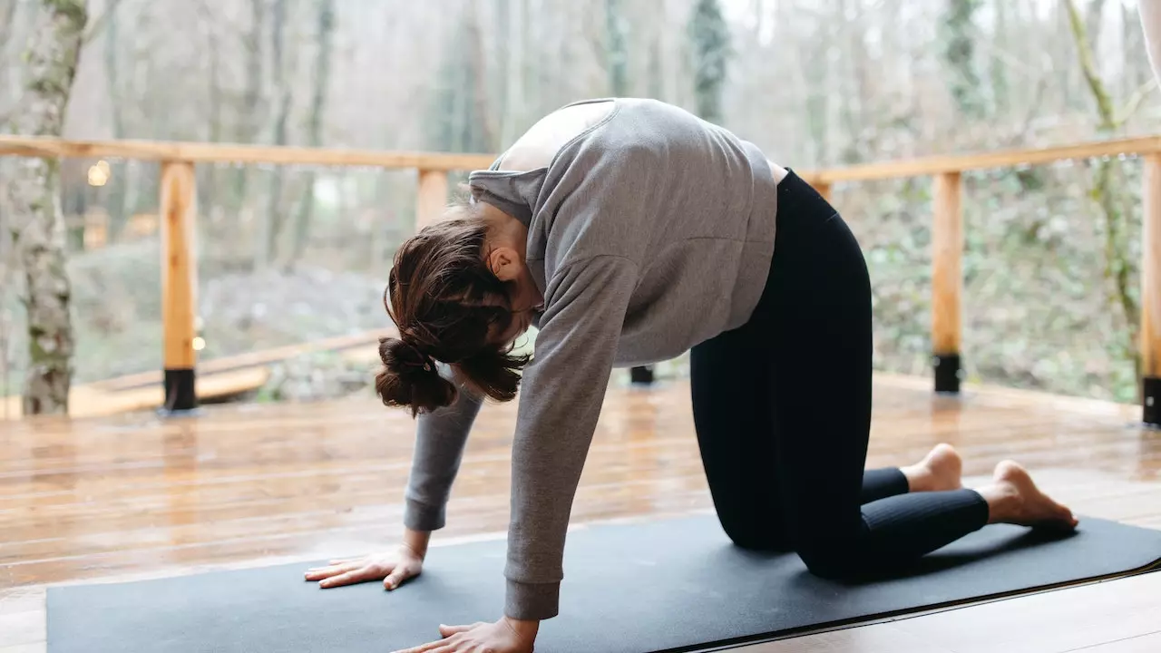 Cat cow yoga for back pain