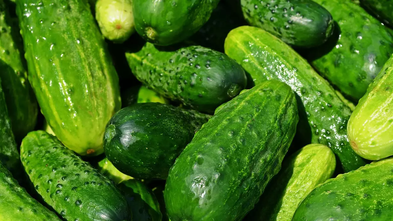 cucumber peel benefits for skin
