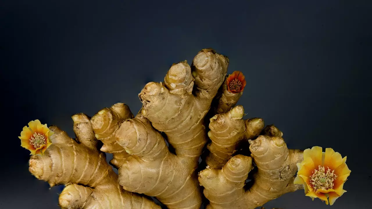 10 examples of root crops