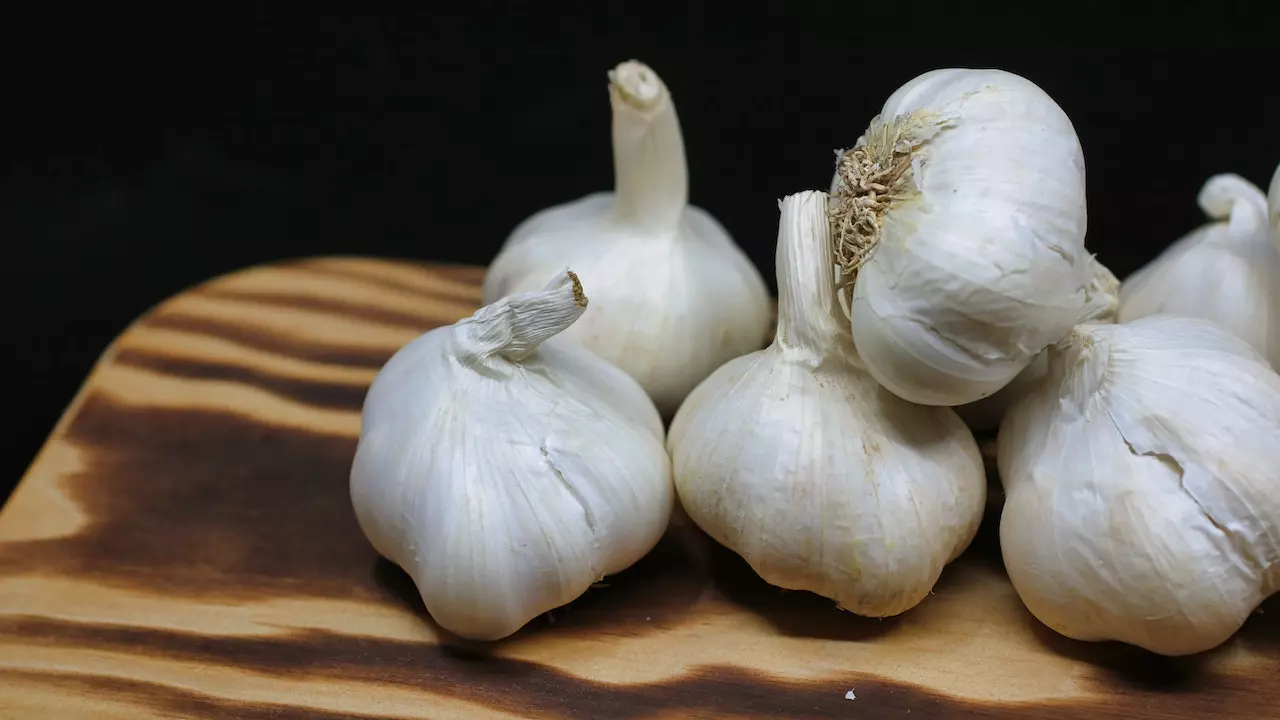 Garlic and digestive health