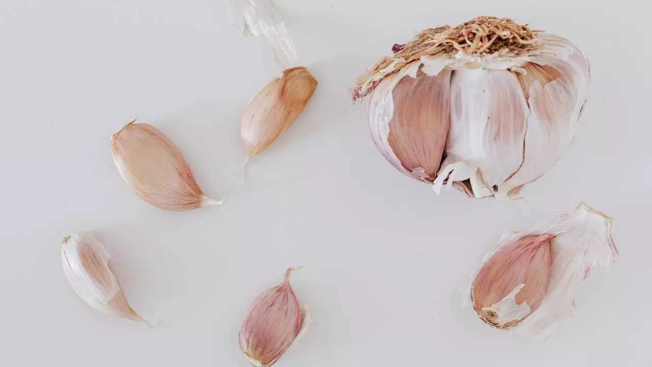 Garlic and medication interactions