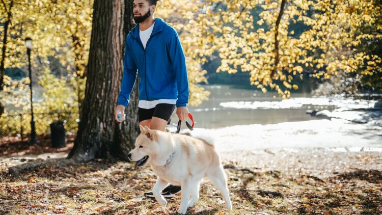 Weight Loss with Evening Walks