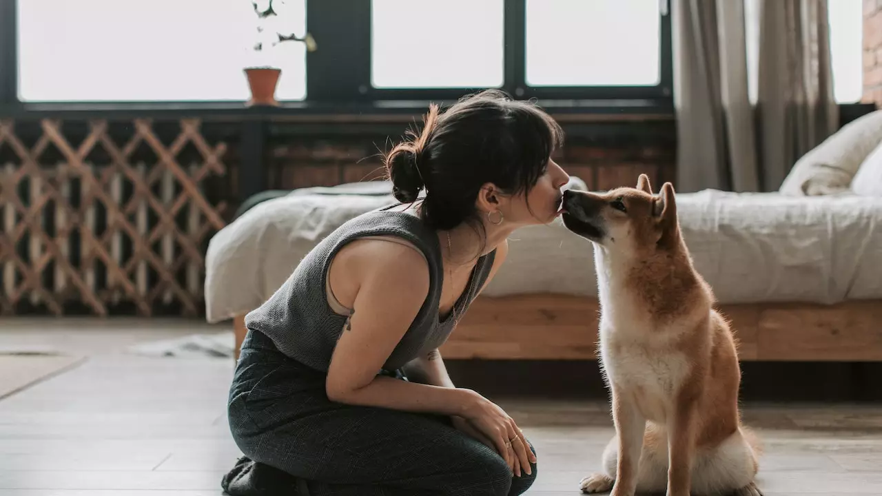 Girl Kissing Her Pet