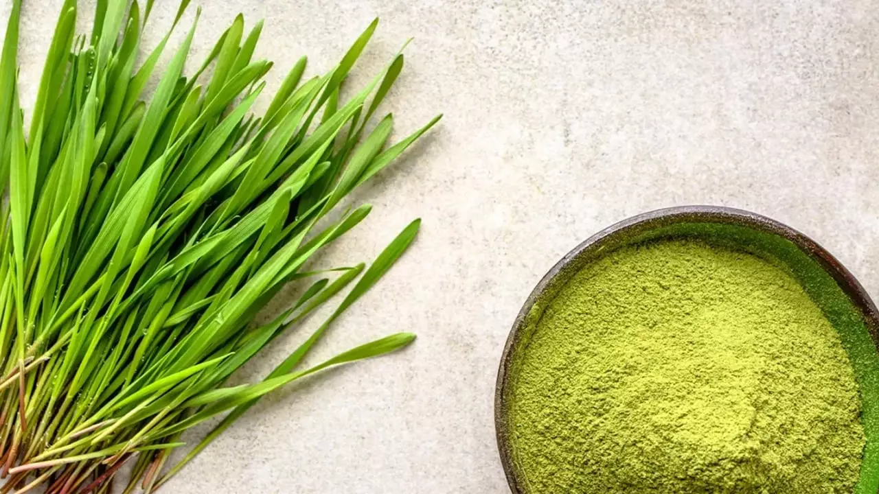 Nutritional Profile of Barley Grass Powder
