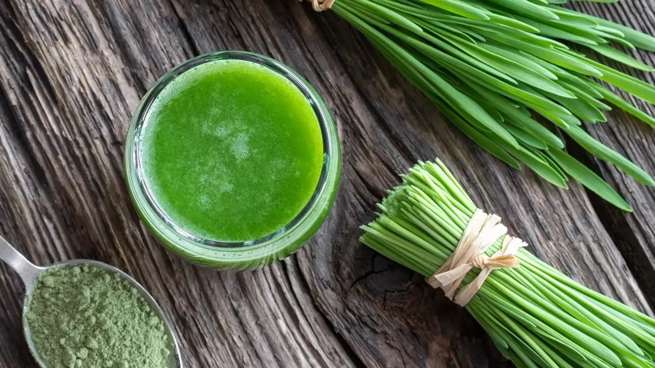 8 Amazing Health Benefits of Barley Grass Powder:
