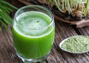 Health Benefits of Barley Grass Powder