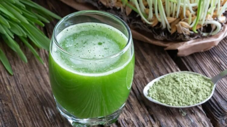 Health Benefits of Barley Grass Powder