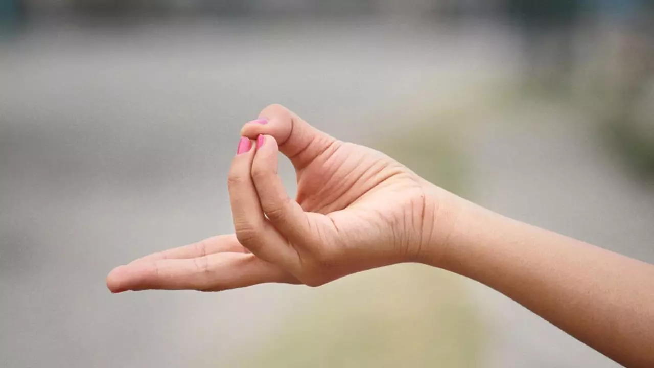 Prana Mudra (Mudra of Life Force)