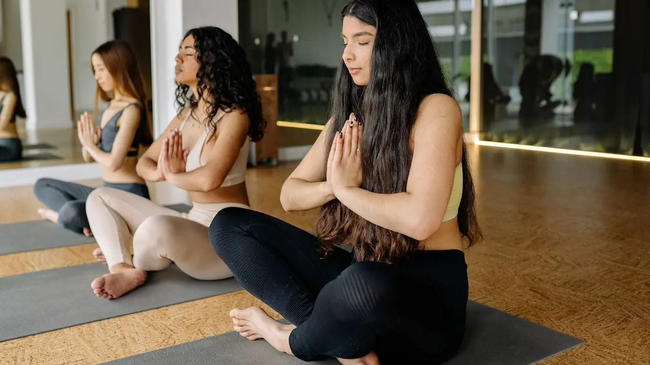 Anjali Mudra (Prayer Mudra)