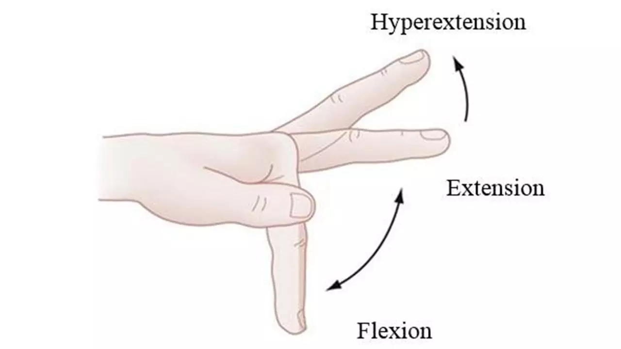 Finger Flexion and Extension