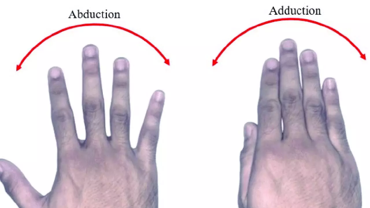 Finger Abduction and Adduction