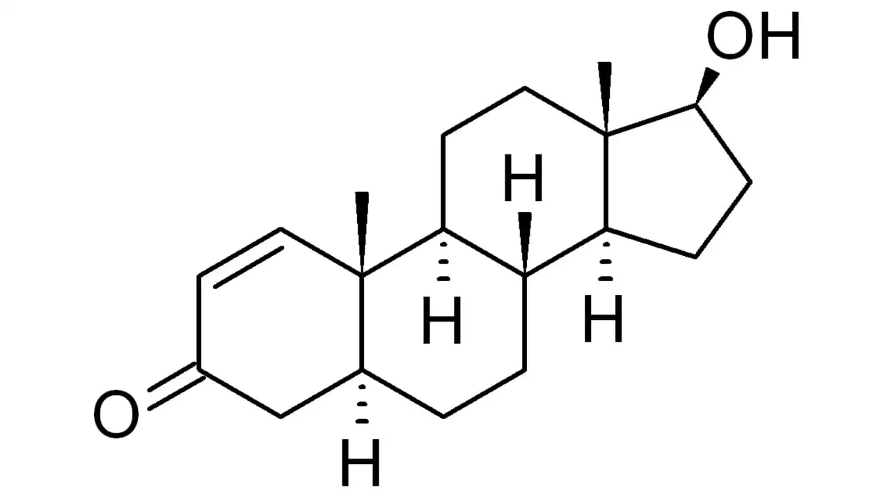 Increase Testosterone Levels