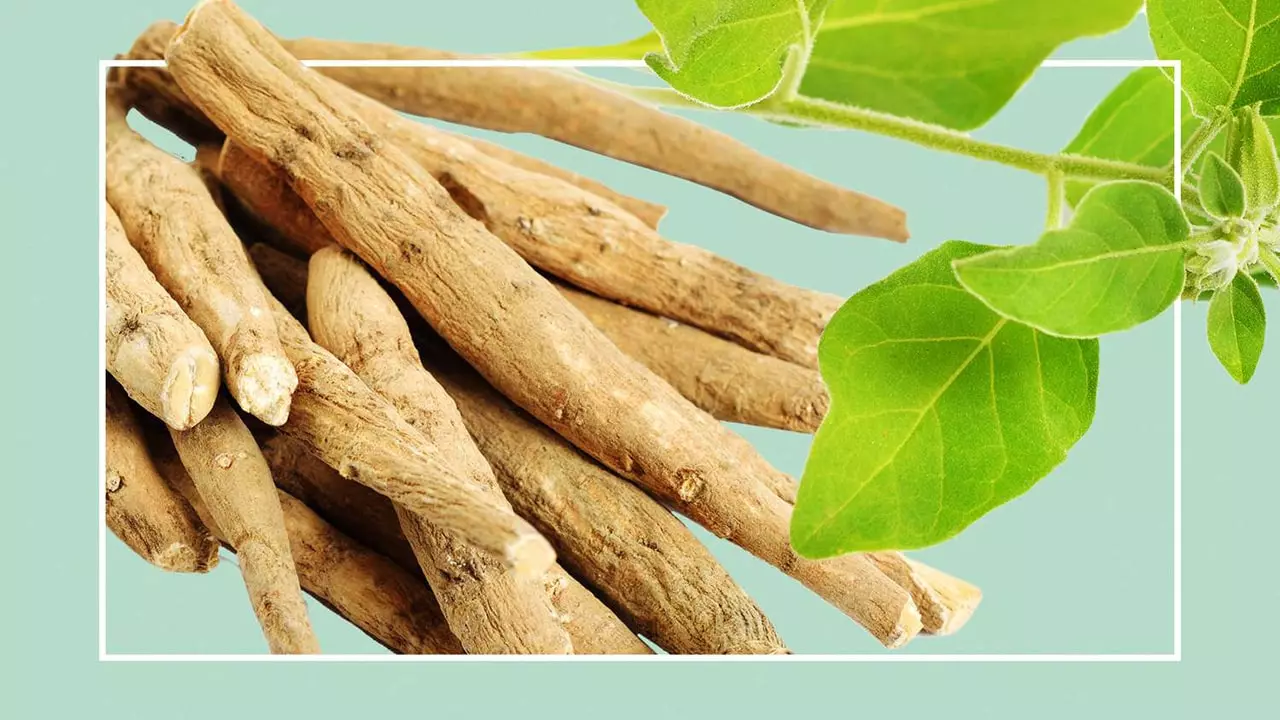 Ashwagandha - Reducing Stress and Boosting Overall Well-being