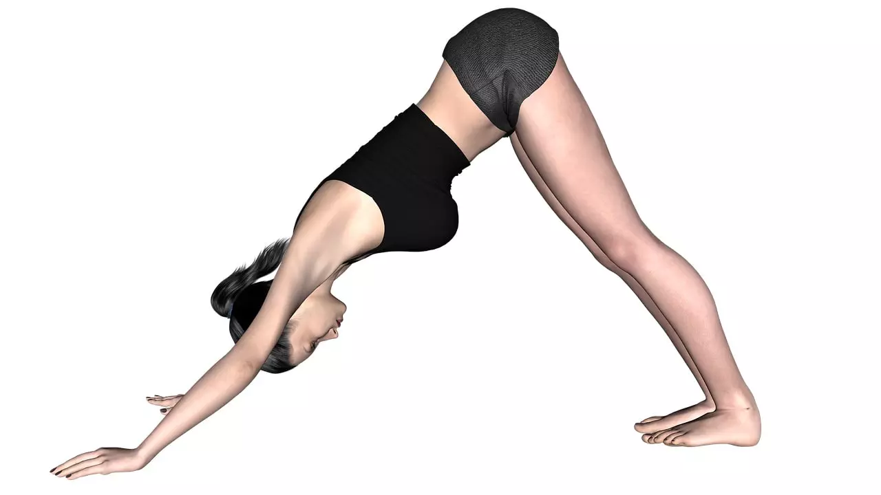 Downward Facing Dog (Adho Mukha Svanasana)