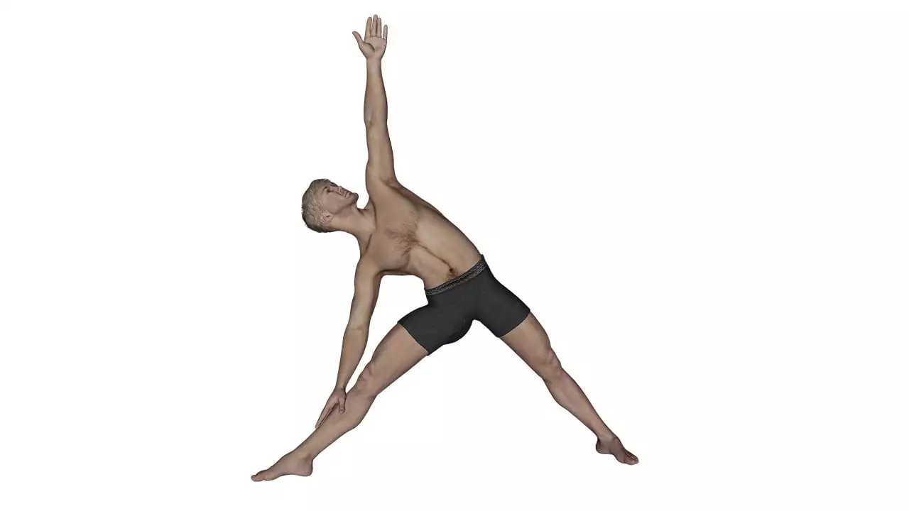 Triangle Pose (Trikonasana)