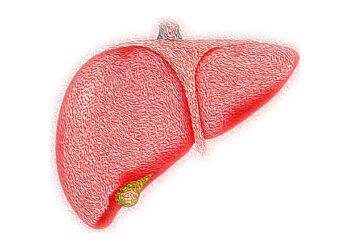 Enhance your liver health