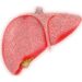 Enhance your liver health