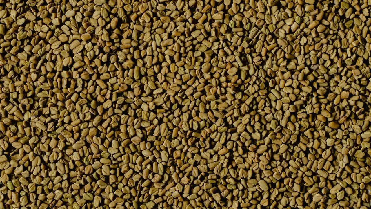 Fenugreek seeds - known for their galactagogue properties, supporting breast milk production.
