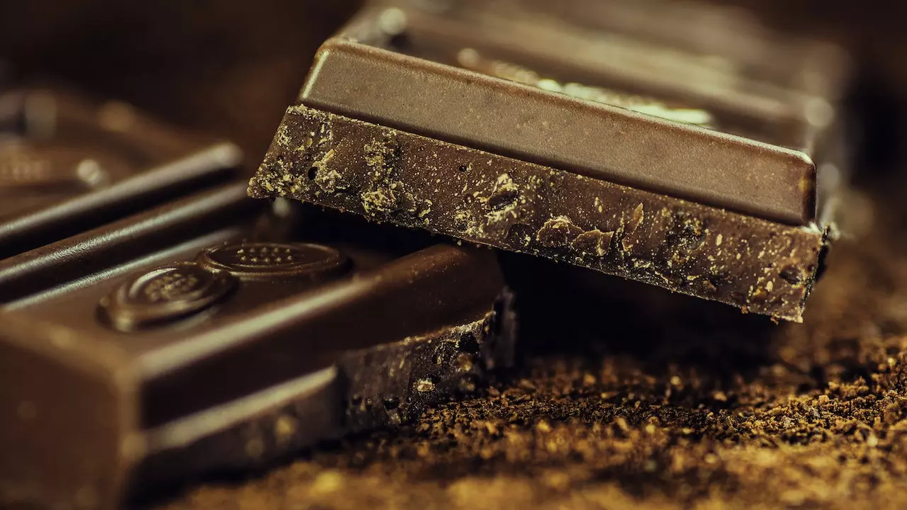 Dark chocolate pieces arranged aesthetically on a plate.