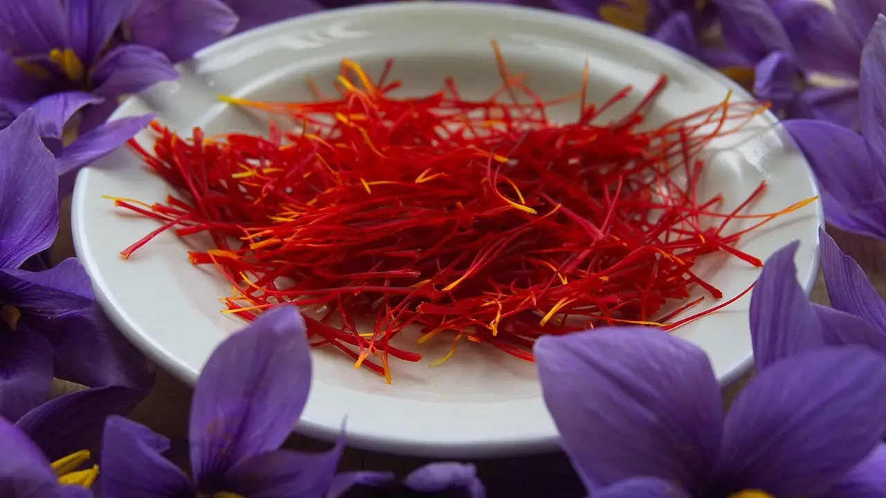 Health Benefits of Saffron Tea