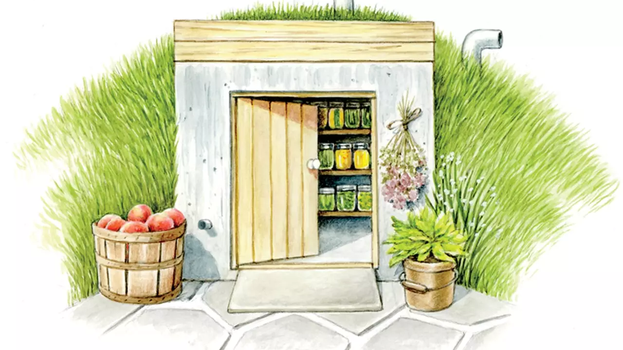 An illustration of an underground root cellar, with shelves lined with neatly organized vegetables and fruits.