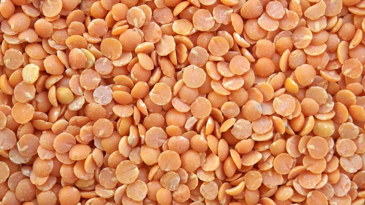 Lentils