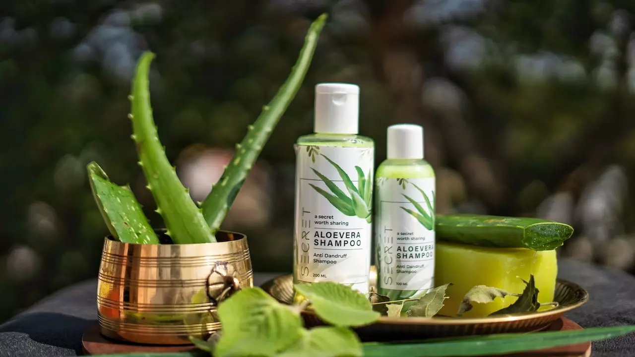 Benefits of Aloe Vera for Hair 