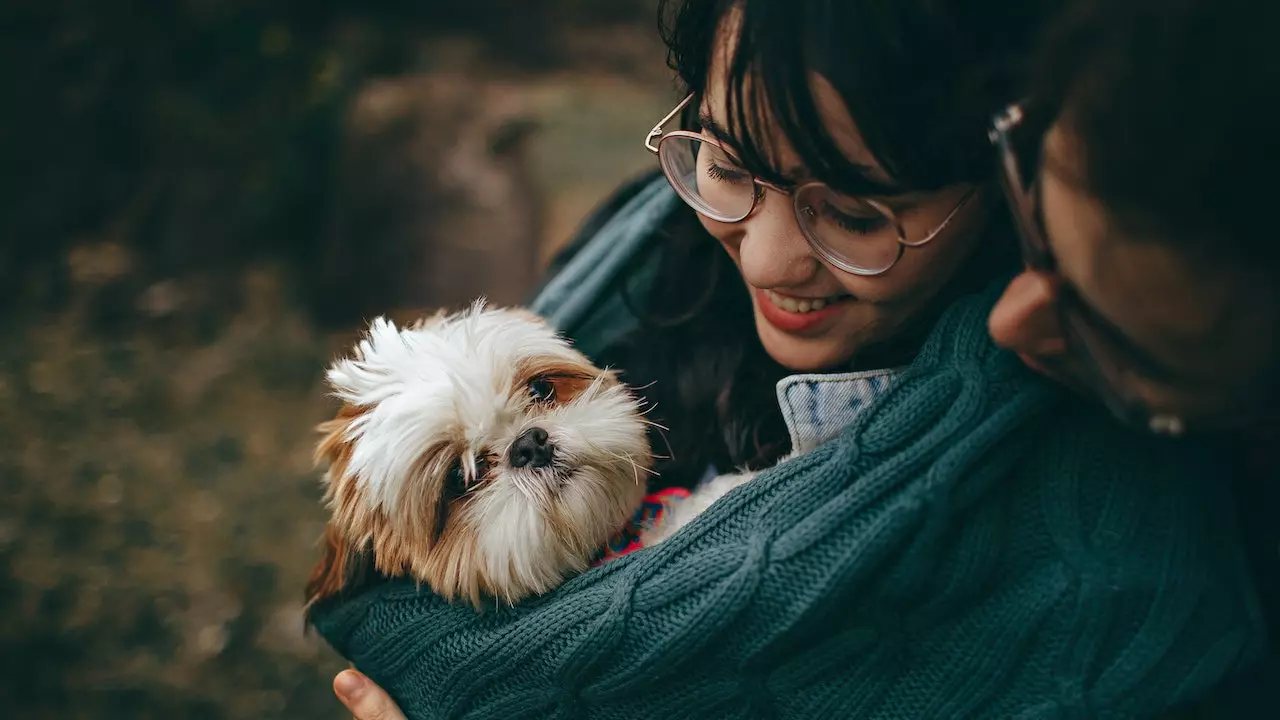Astrological Benefits of Owning a Dog