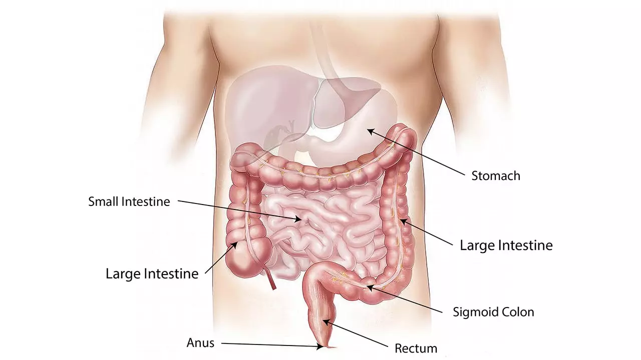 Intestinal Issues
