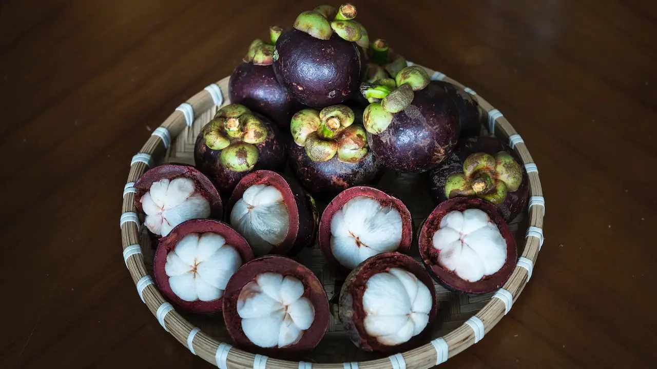 Mangosteen