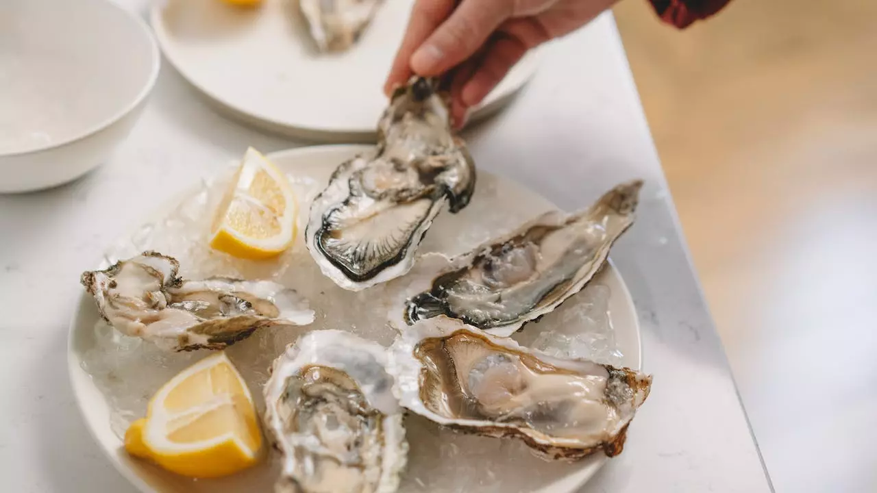 Oysters for brain health