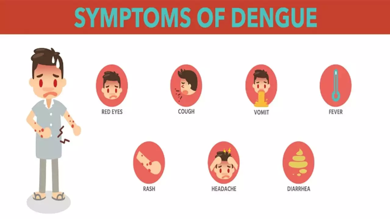 dengue fever diagnosis