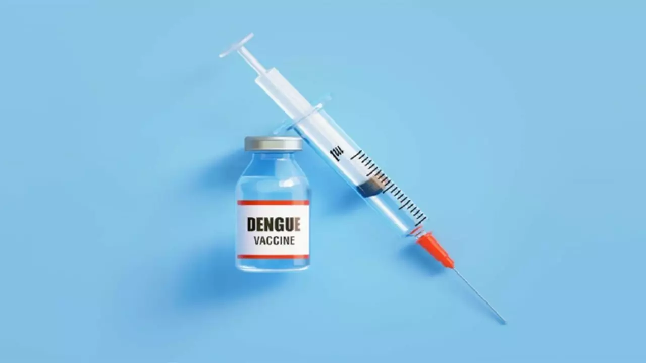 dengue fever medication
