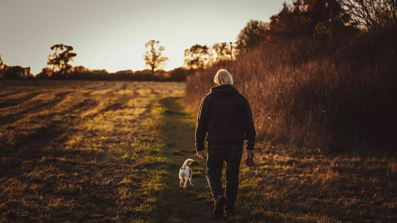 benefits of morning walk speech