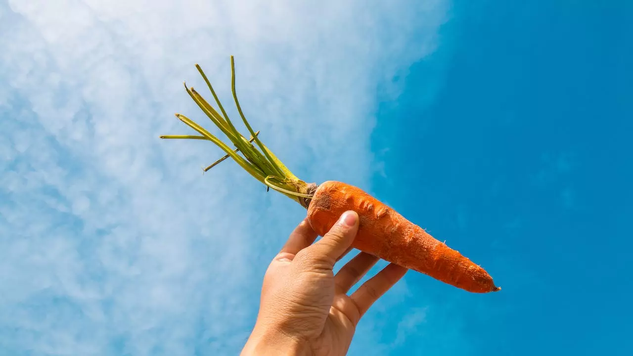 Health Benefits of Carrot Juice