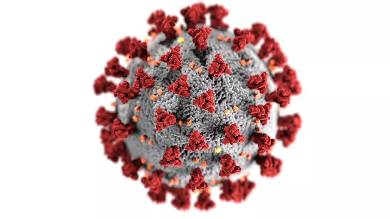 New Coronavirus Variant in India