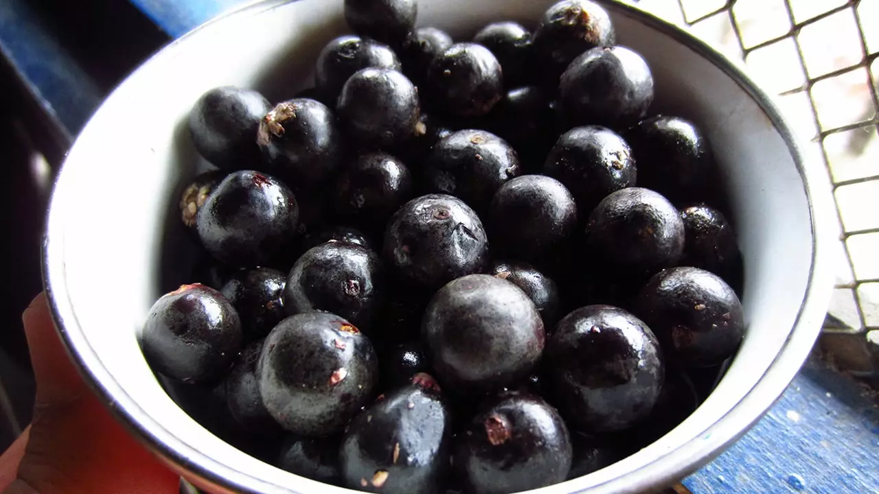 Benefits of acai berries for skin