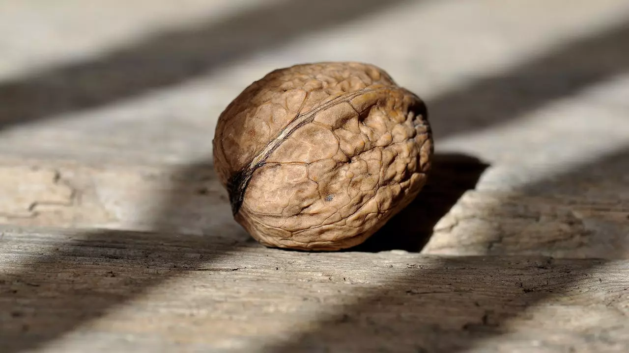 Benefits of Walnuts