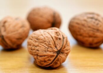 Benefits of Walnuts