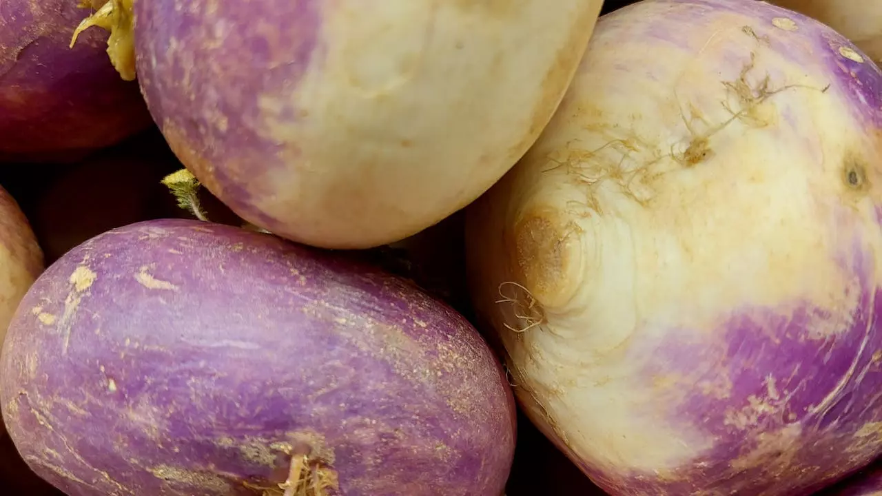 Turnip Health Benefits