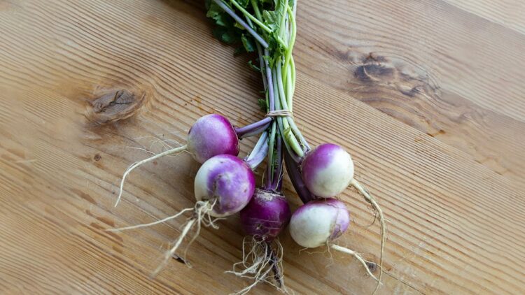 Turnip Health Benefits