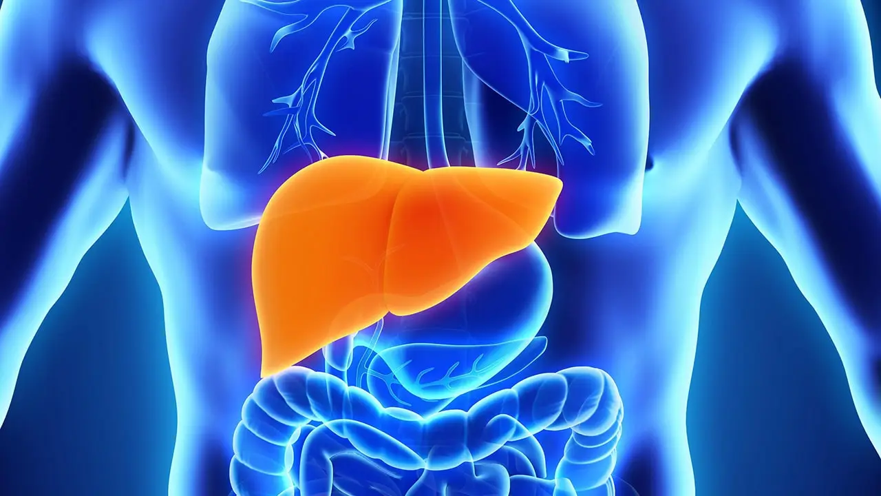 Fatty Liver Diet