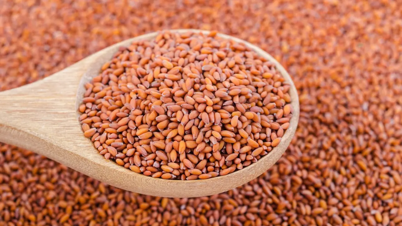 Haleem Seeds (Garden Cress Seeds)