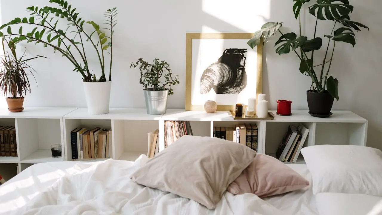 Bedroom Plants