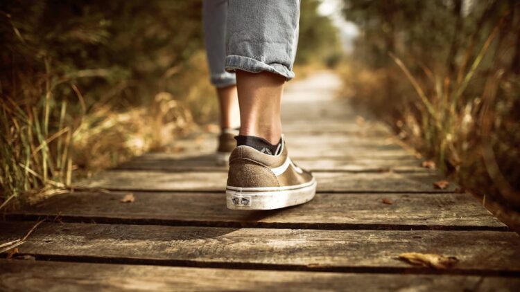 benefits of brisk walking