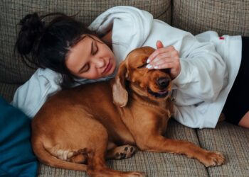 weight loss tips for lazy people