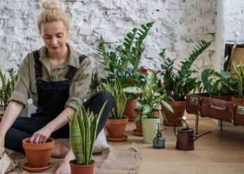 health benefits of gardening for seniors