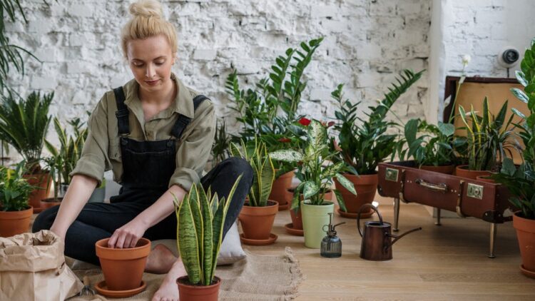 health benefits of gardening for seniors