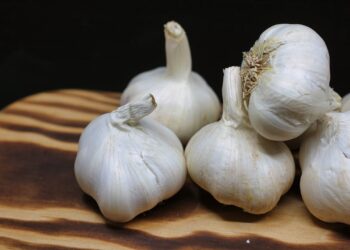 what is the benefits of eating raw garlic everyday